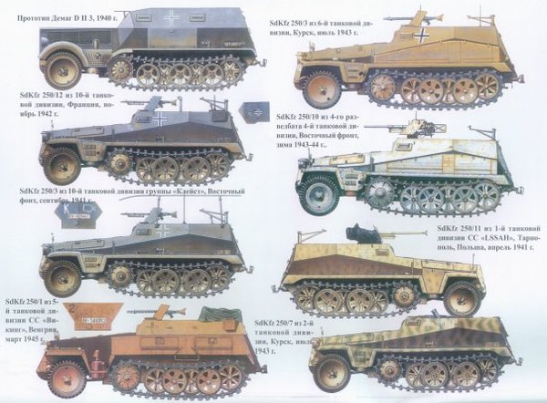Sdkfz 250 (1)