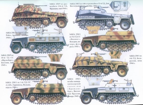 Sdkfz 250 (2)